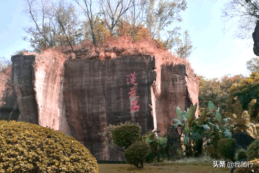 莲花山自驾去哪个门好停车呢,汕尾莲花山自驾两日游攻略