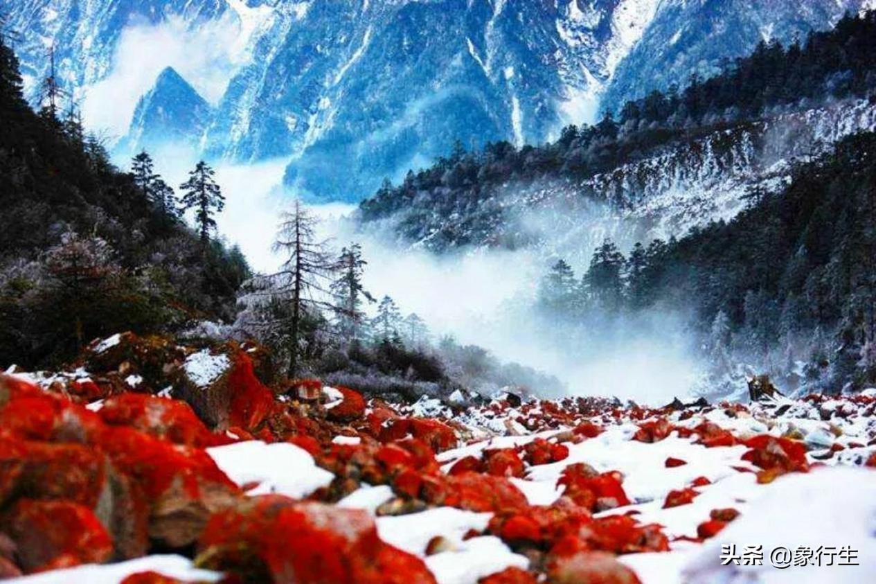 峨眉武术各派的代表拳法,峨眉派有哪些武术流派