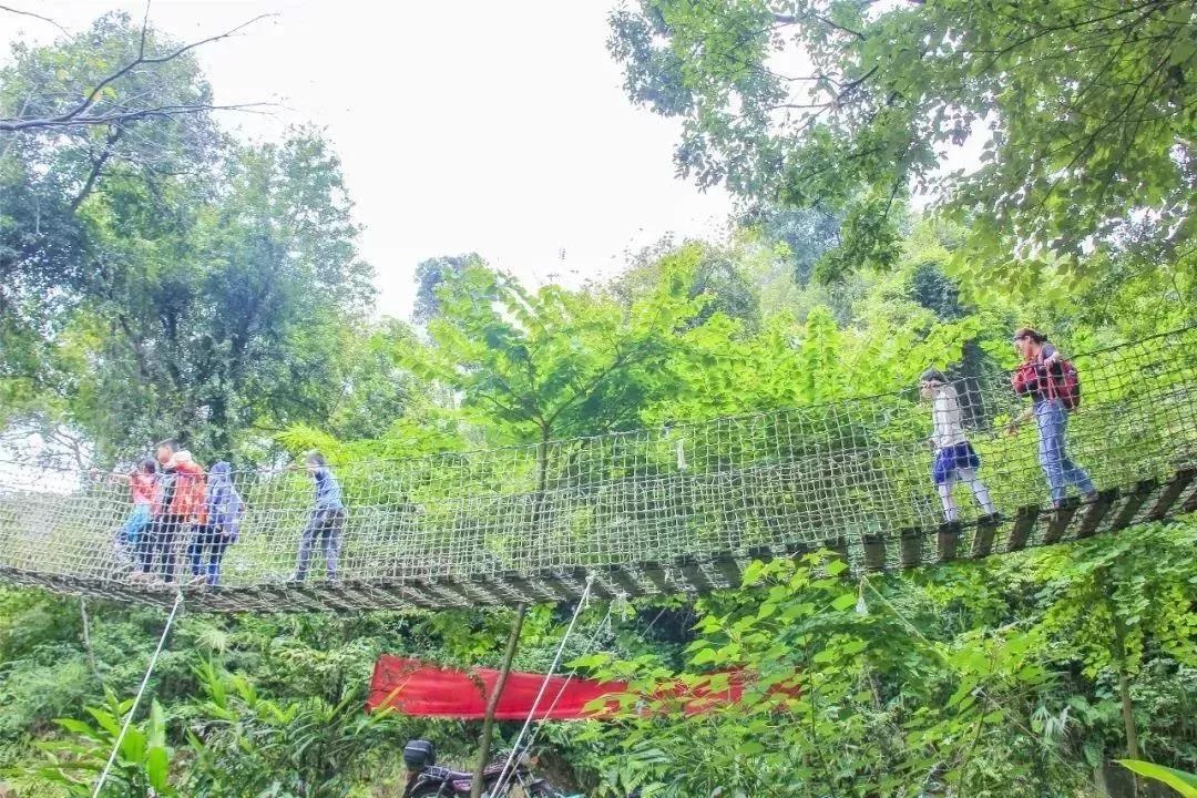 精彩继续!12月广东畅游指南,为你的2018划上圆满句点