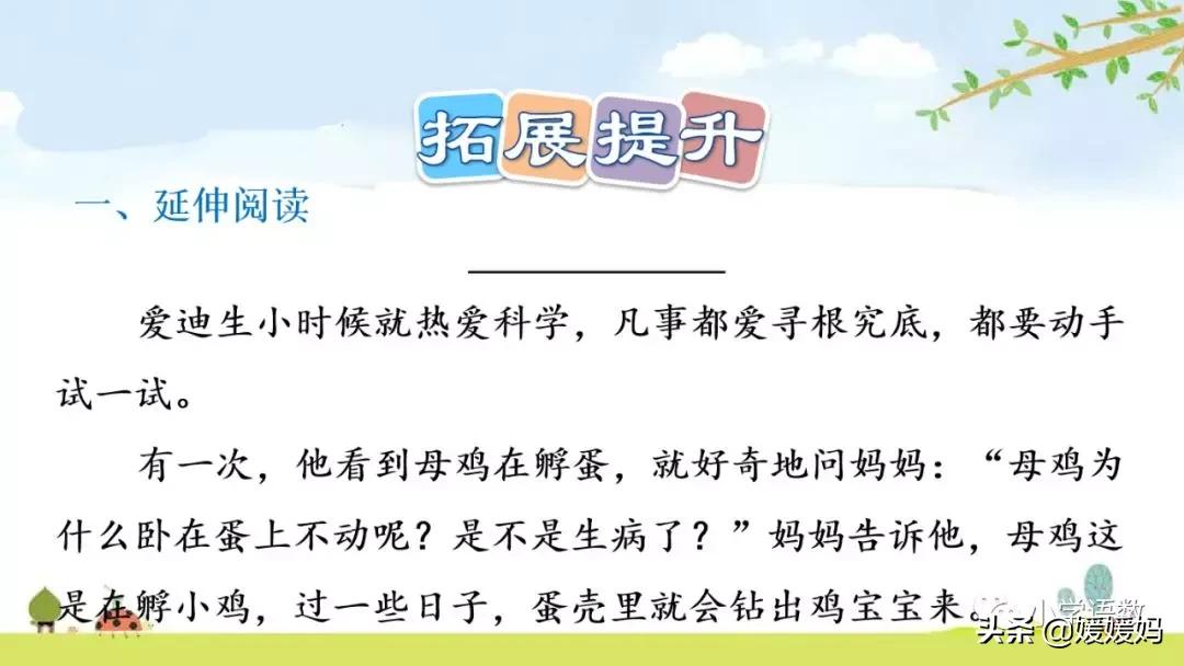六年级下册语文表里的生物朗诵,六年级下册表里的生物小练笔400字