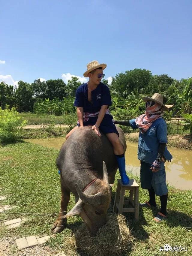 清迈攻略介绍,清迈攻略最全