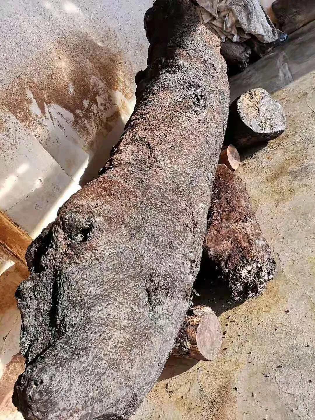 紫檀阴沉木与金丝楠阴沉木的区别,金丝楠阴沉木有哪些作用