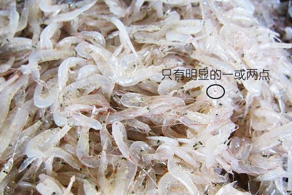 虾说,这是一篇让你不仅会吃,还会认……一文解决“虾”认识