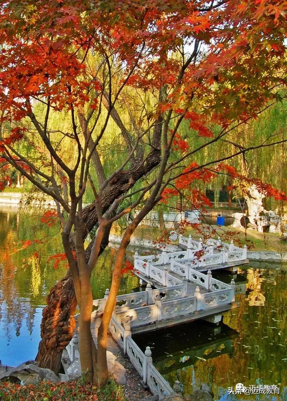 专转本院校介绍之|扬州大学