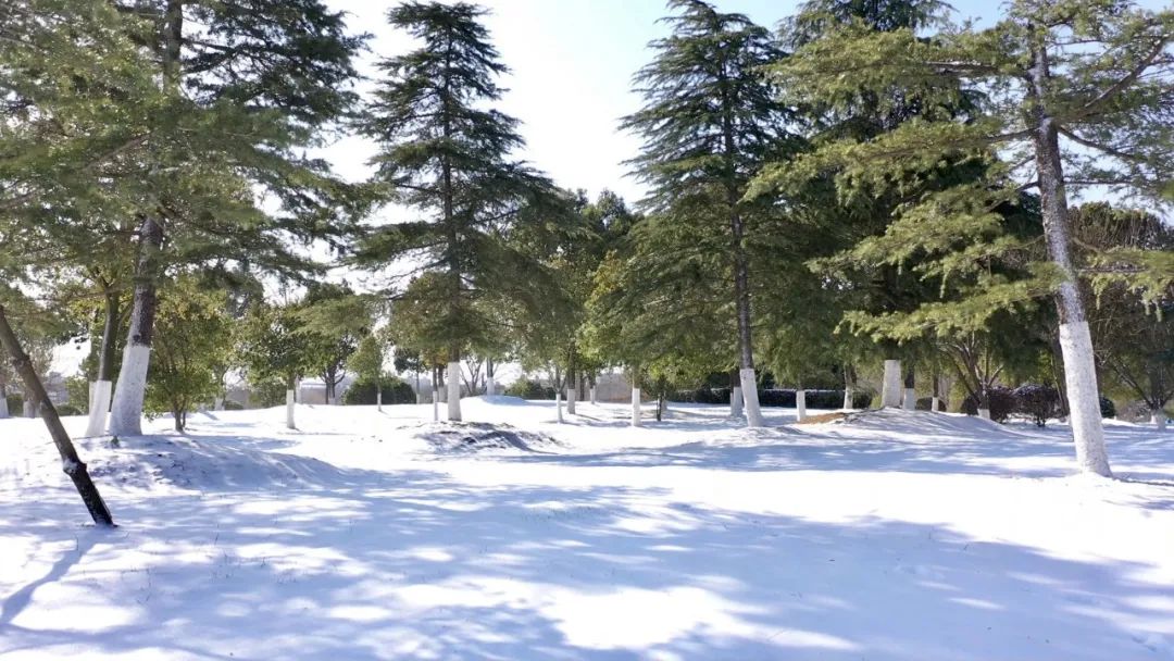 这才是真正的南京,这两天南京的温度是多高