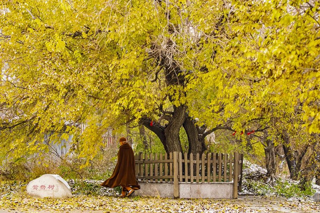 河北唐山海岛旅游攻略,唐山海岛