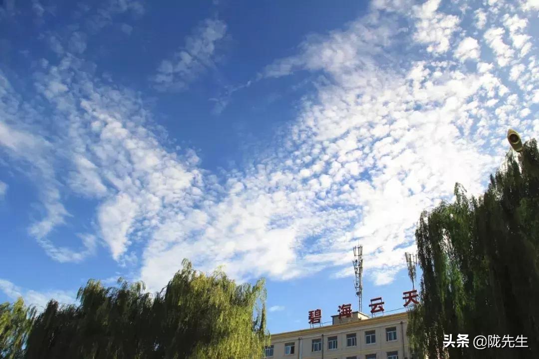 今天庆阳的大事,庆阳最近新闻