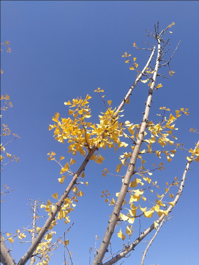 农村老物件7080的乡村记忆,乡村记忆老物件图片