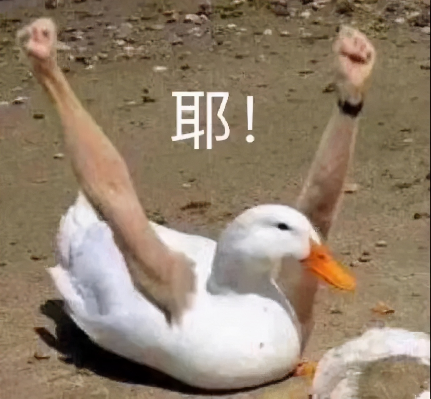 bm风小裙子好看吗,比bm风还好看的店铺