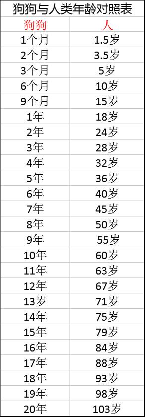 狗狗的年龄和人的年龄对照表,狗狗年龄与人类年龄对照表
