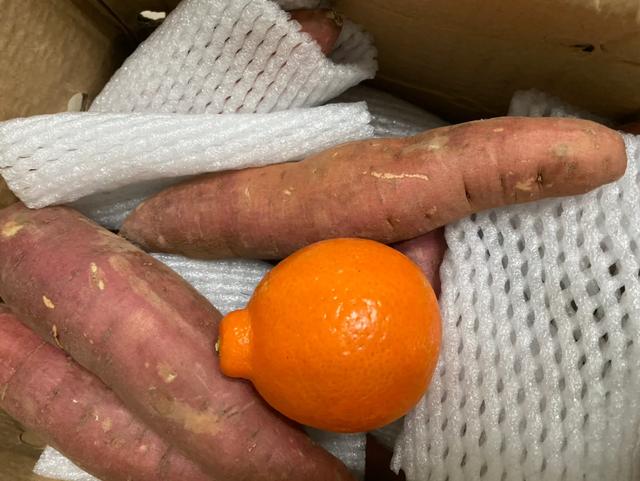 减肥失败的朋友们,适合减肥人群的益生菌