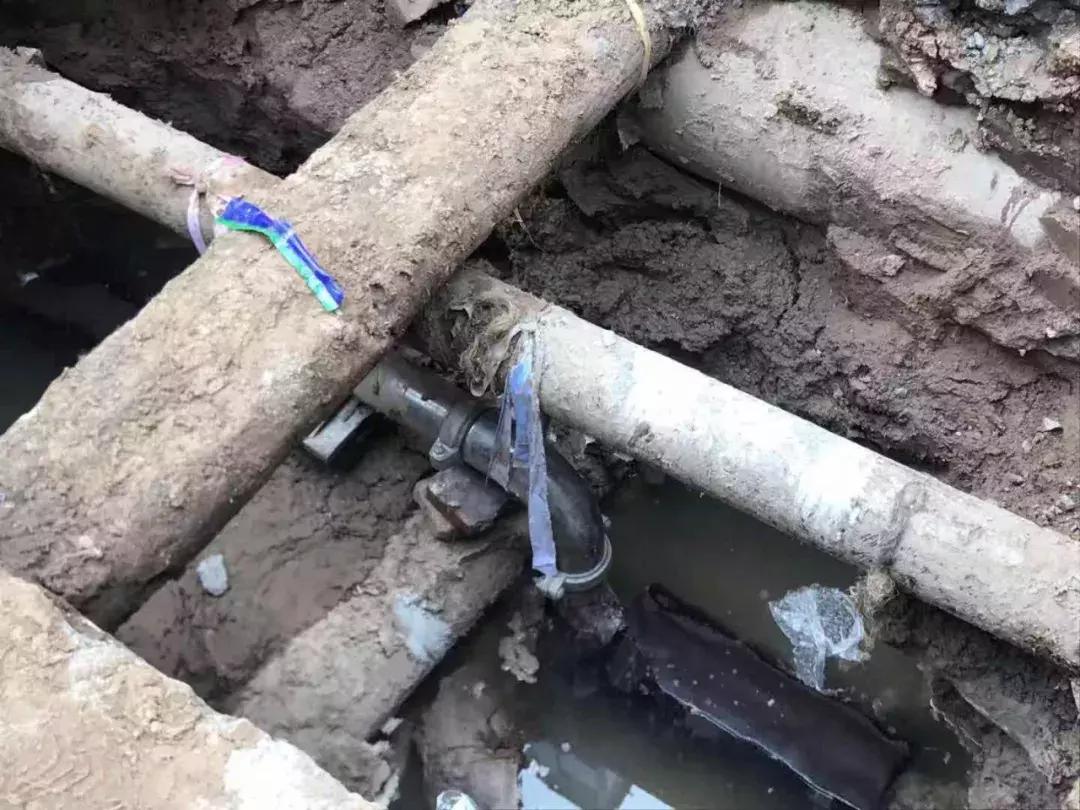 给市政府写信反映问题会有回复吗,给市领导的一封感谢信