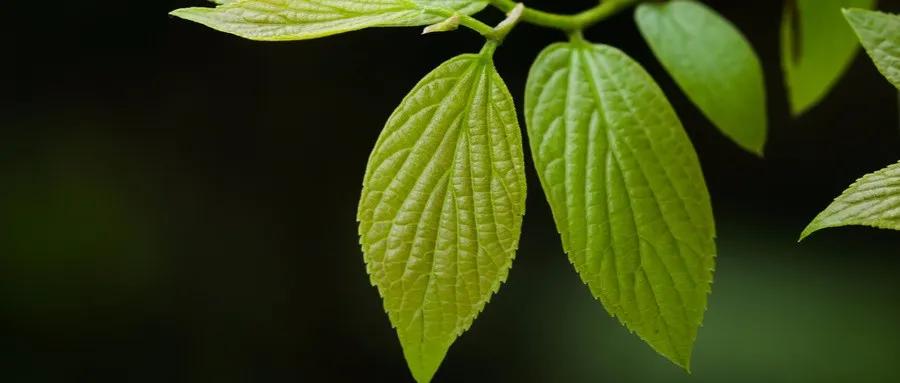 世界名著必读经典励志语录,世界名著经典语录励志短句