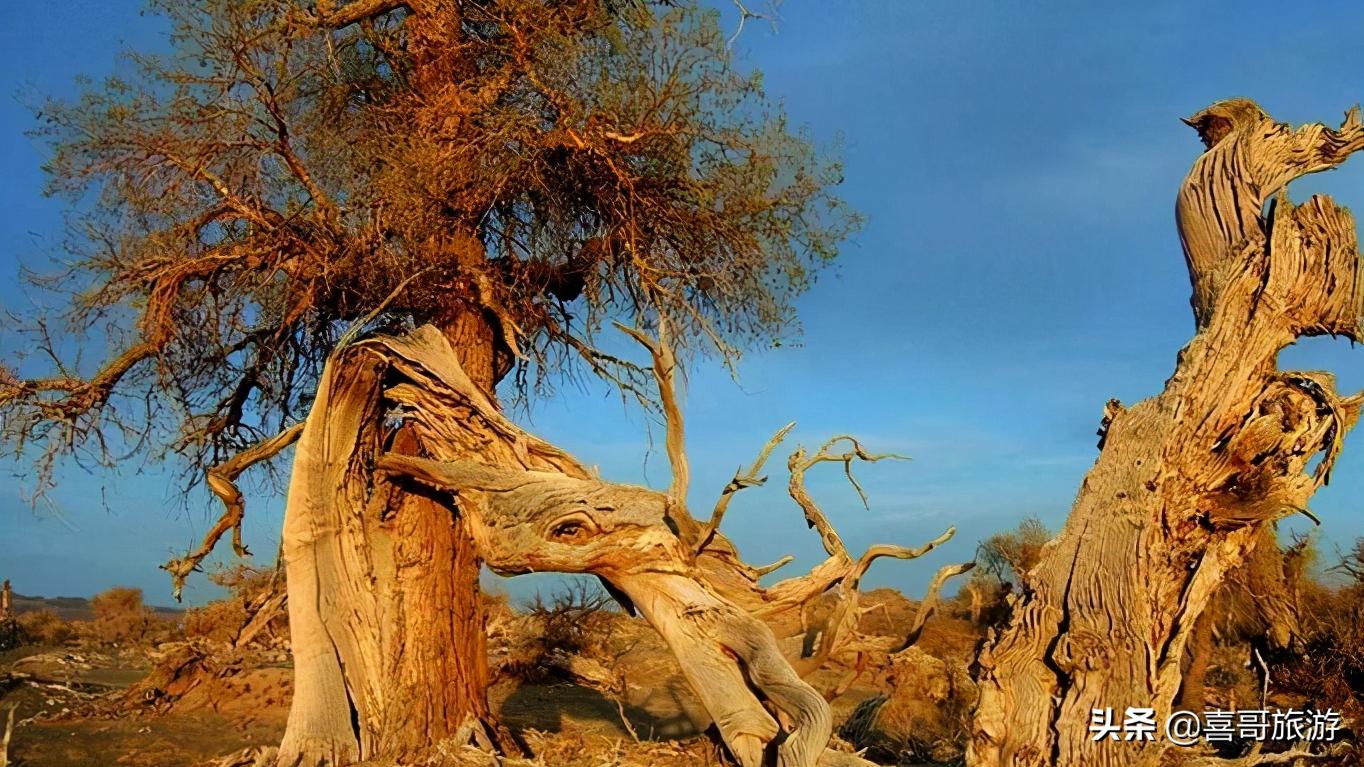 新疆昌吉十大景点自驾游攻略,昌吉冬天自驾游视频介绍