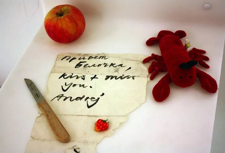 趣味博物馆你最爱哪一个,世界著名博物馆纵览图高清