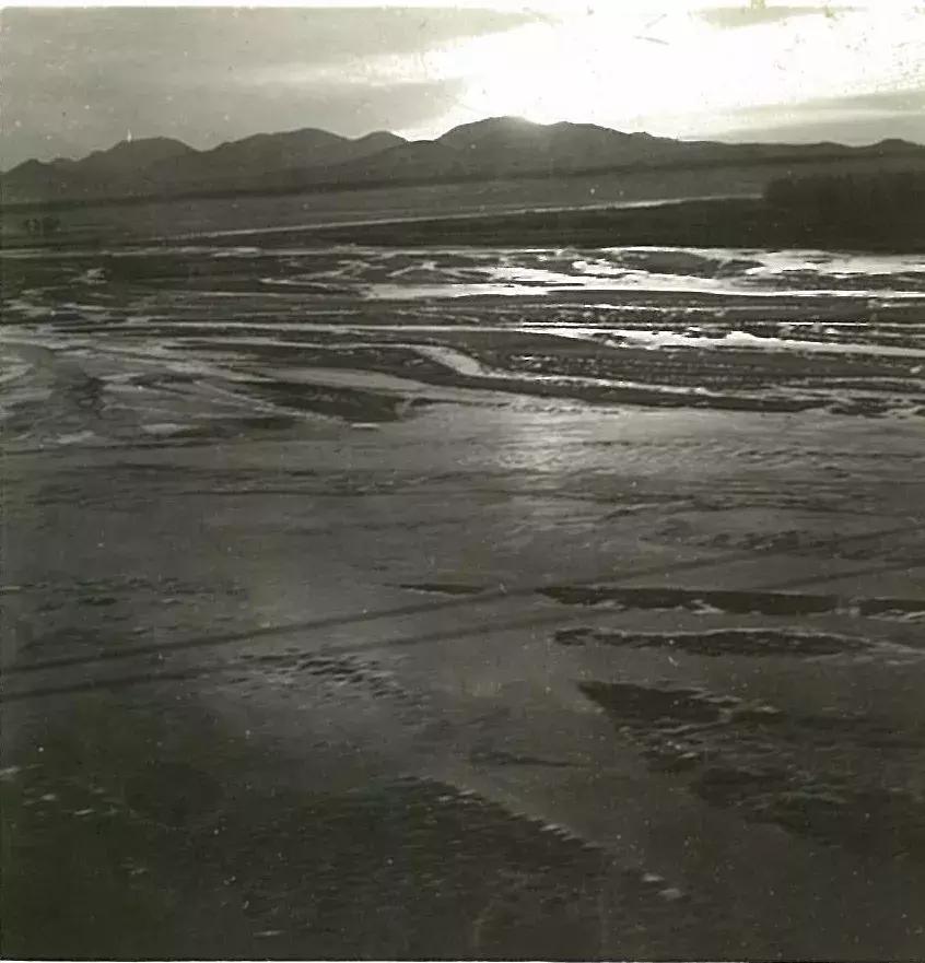 你可能没见过的姓氏,你可能没见过的日语