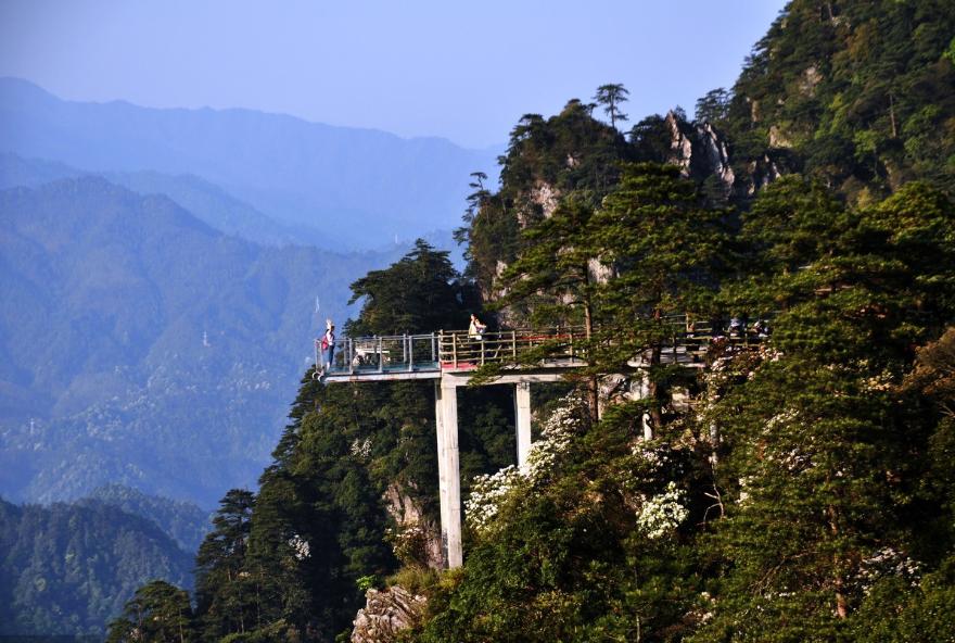 清明小长假,最美的行程当属井冈山