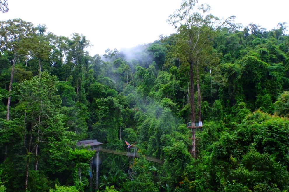 美丽云南神奇西双版纳,美丽的西双版纳人间仙境美如画