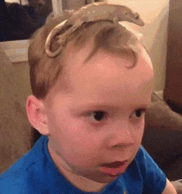 名单：用过这些单品，我再也笑不出来了！实在太难用了…