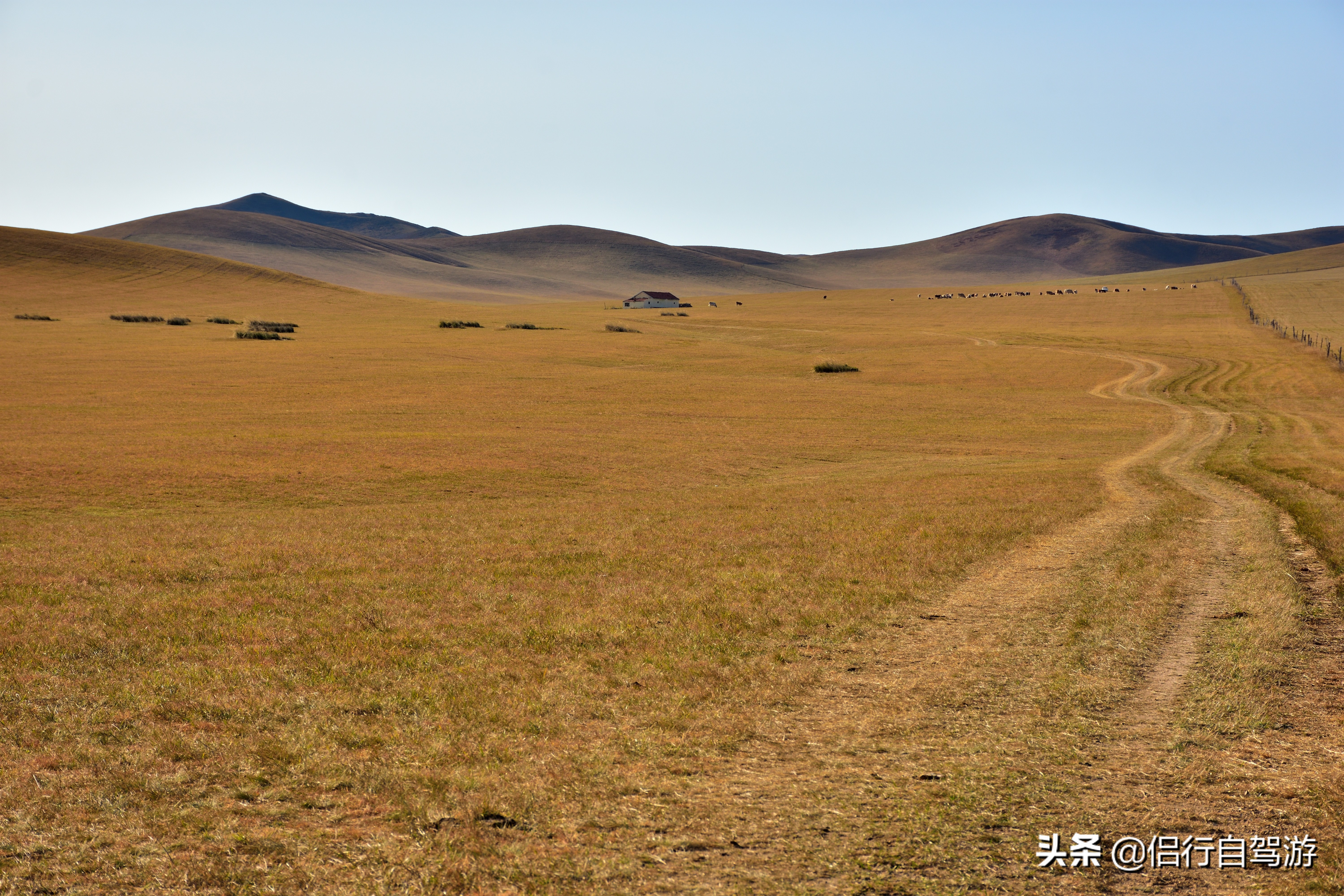 西乌旗景观大道,两条景观大道