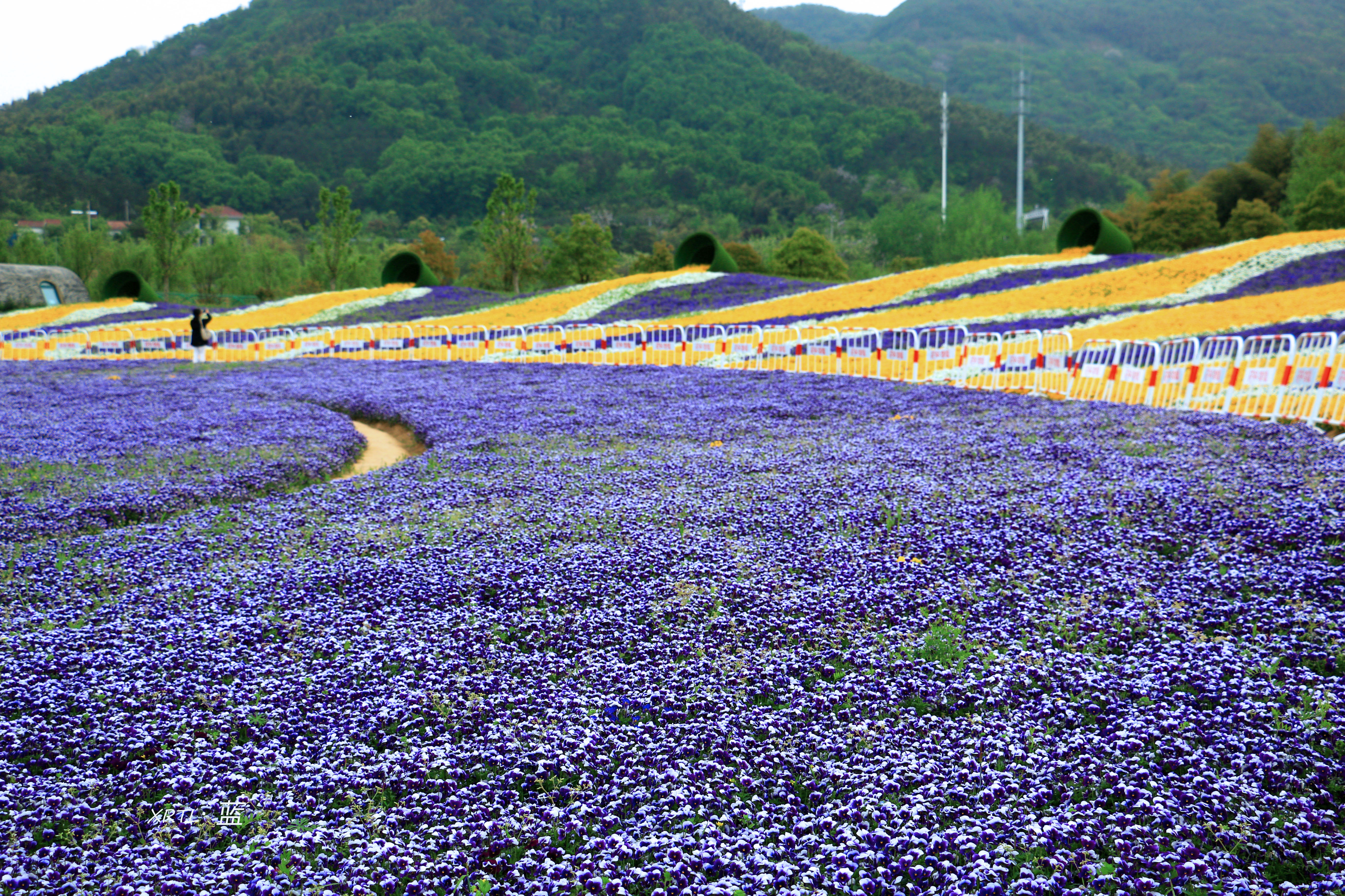 南京周边一天半游的绝佳去处,疫情后南京出游