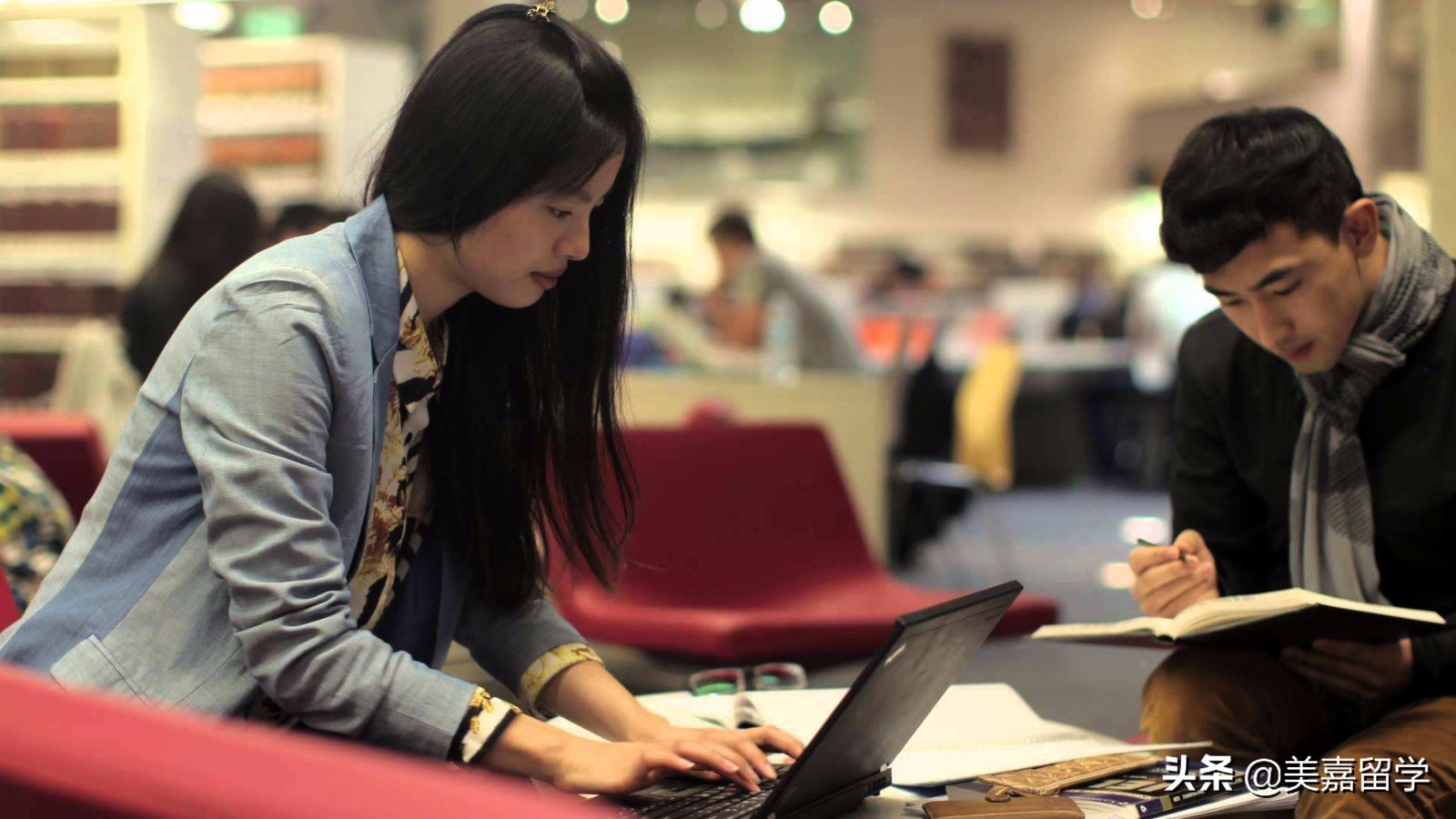 生物信息专业解析,生物信息分析文章