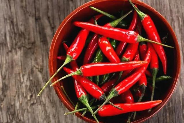 辣椒种植后如何施肥,辣椒种植后怎么生根