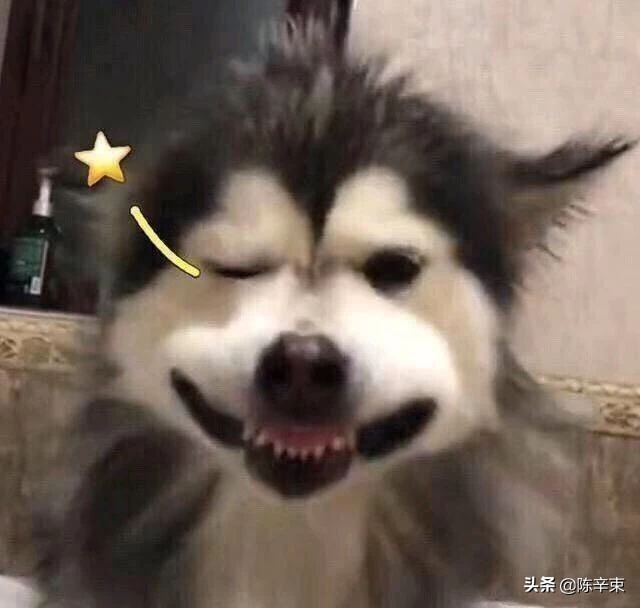 女生剪了短发后悔了怎么安慰,剪完短发后悔了怎么办女生