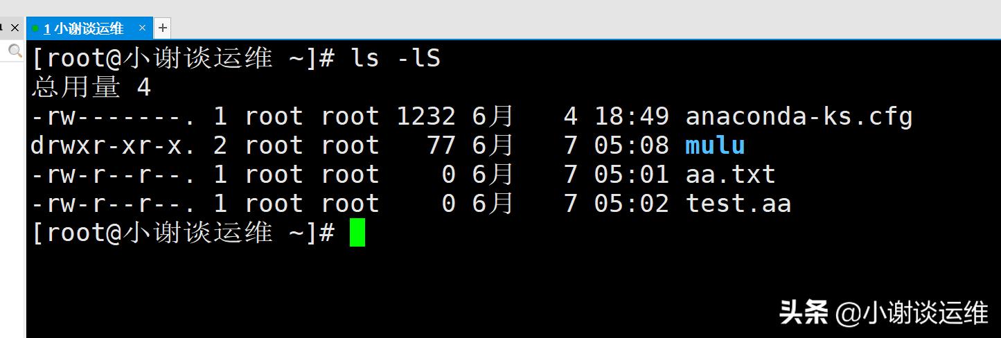 云计算自动化运维之Linux-ls命令详解