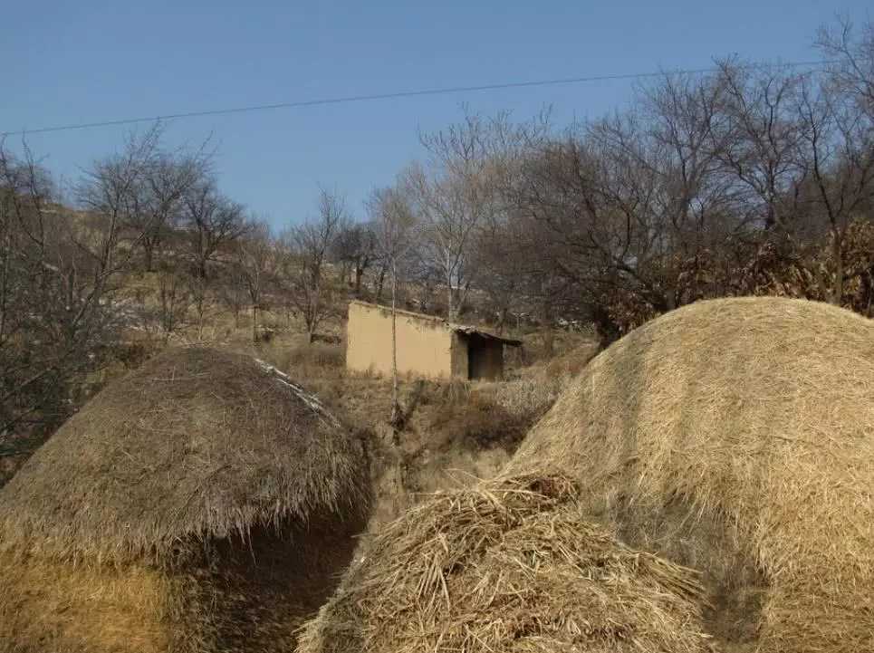 未来比较冷门赚钱行业,未来几年这三个冷门行业最赚钱