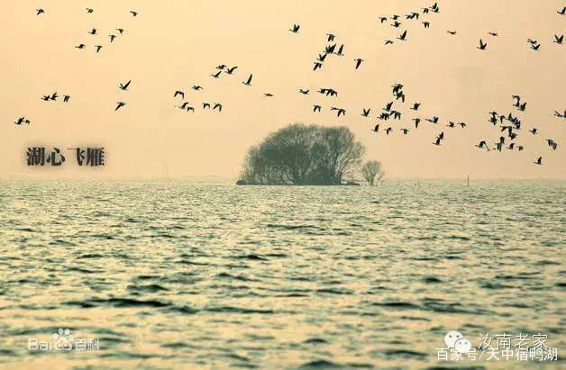 宿鸭湖事忆(一)(二)