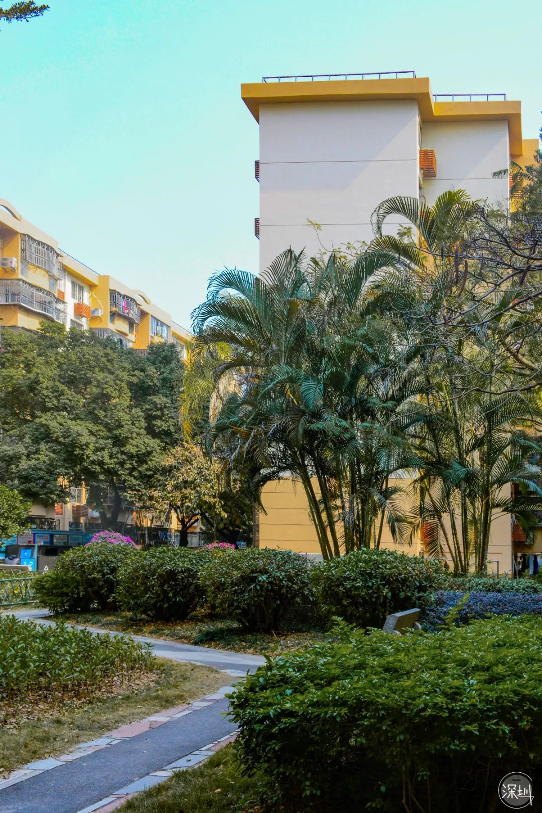 莲花村是哪个省的,中国莲花村排名