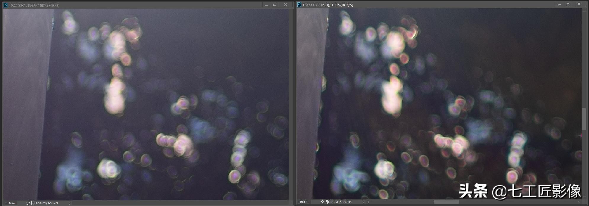 永诺50mmf1.8和七工匠35mmf1.4,七工匠人文镜头