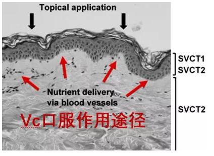 皮肤黑怎么搞,皮肤黑如何免费变帅