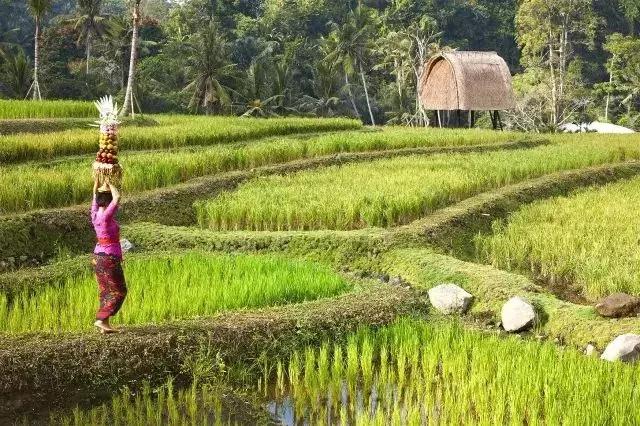 巴厘岛海滩四星酒店,巴厘岛一流的酒店二流的