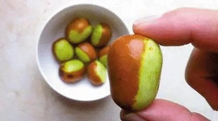 买冬枣苗子,买脆冬枣