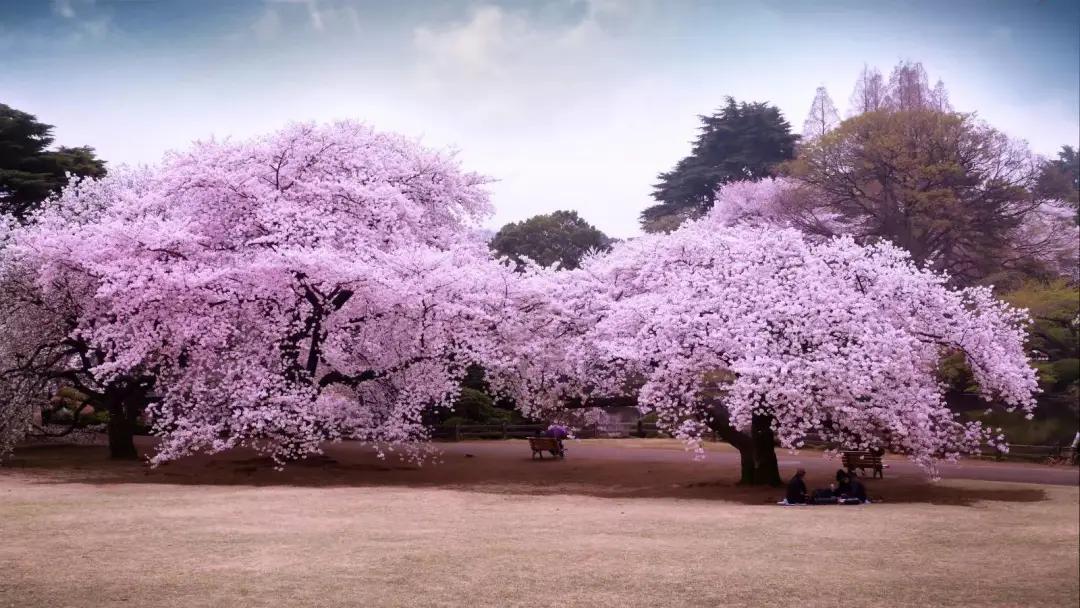 全部的成语收藏起来回家教给孩子,如何和孩子一起积累成语