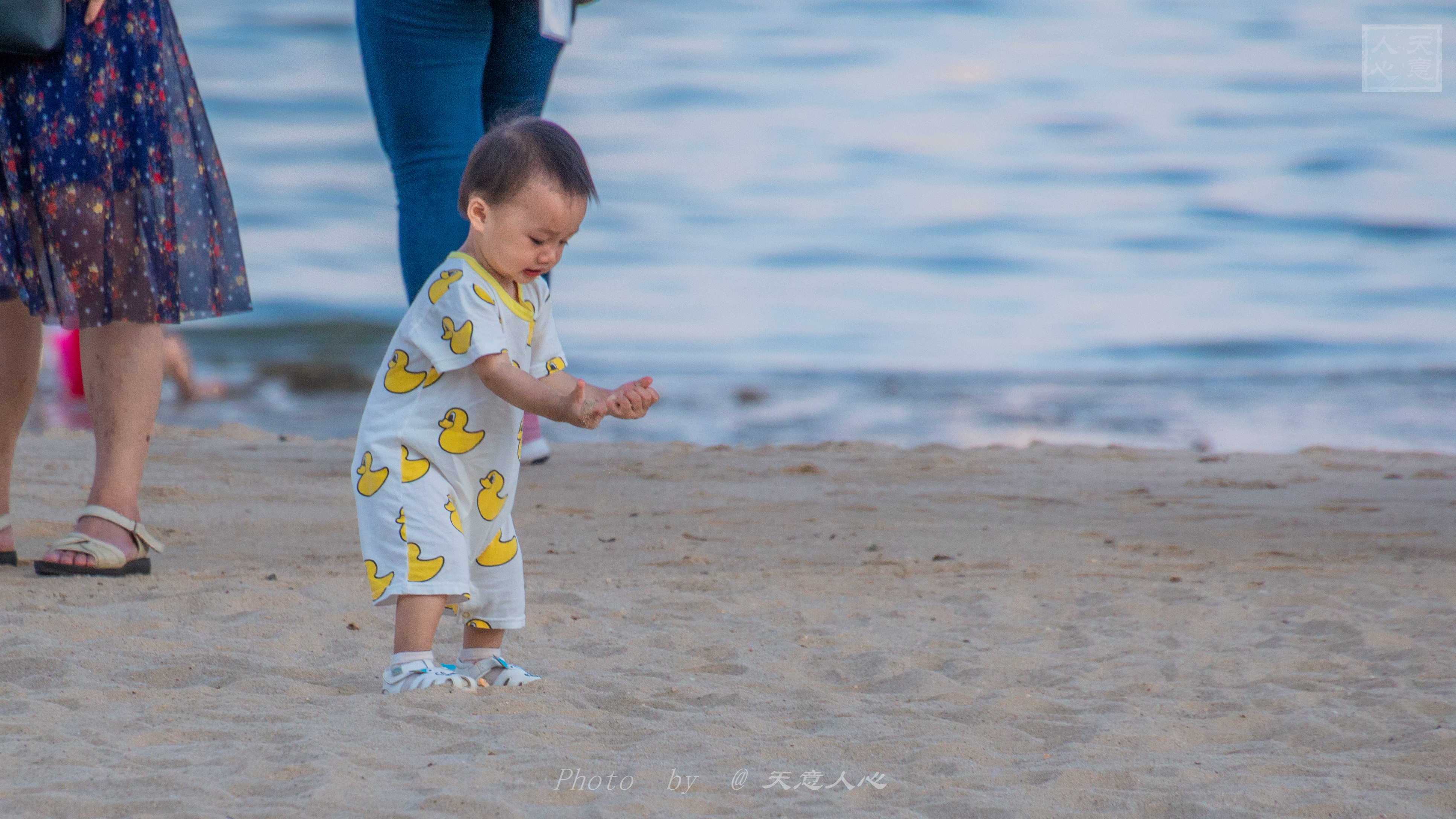 广东南极之旅,奔赴星海随笔