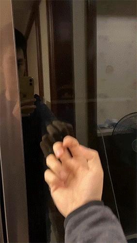 好用好看+好玩，LG透视窗冰箱评测体验