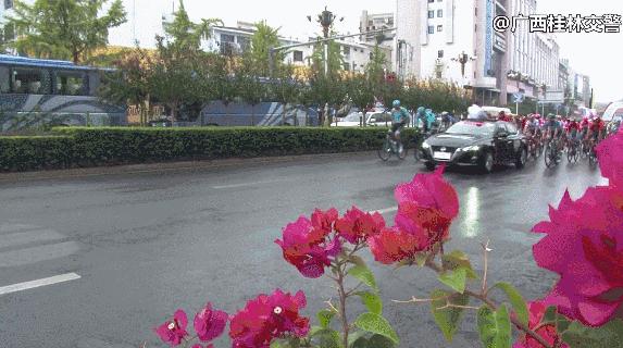 环广西公路车赛桂林冠军,2023环广西自行车赛冠军米兰维德