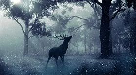 寰俊鍦堝瓙鍒犻櫎,寰俊鍦堝唴瀹瑰垹涓嶄簡