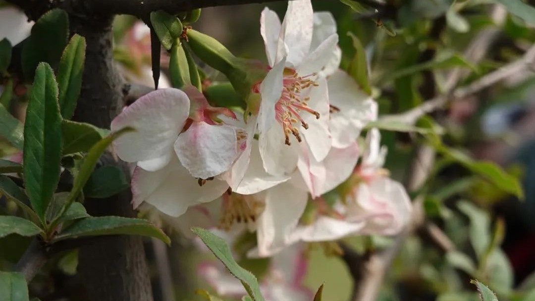 怕麻烦是不是最大的障碍,新概念英语单词速记