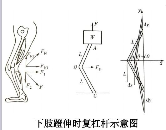 顶髋训练的正确姿势,蹬地和顶髋是同一个动作吗