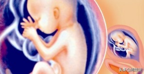 新生命如何诞生,新生命从哪开始的