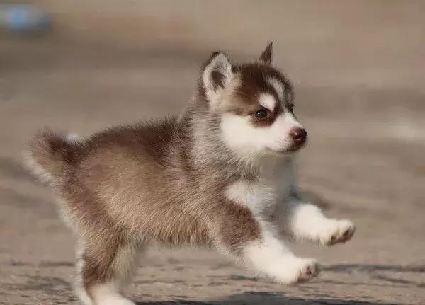 现在的全科医生在卫生院有前途吗,诊所的医助工作怎么样