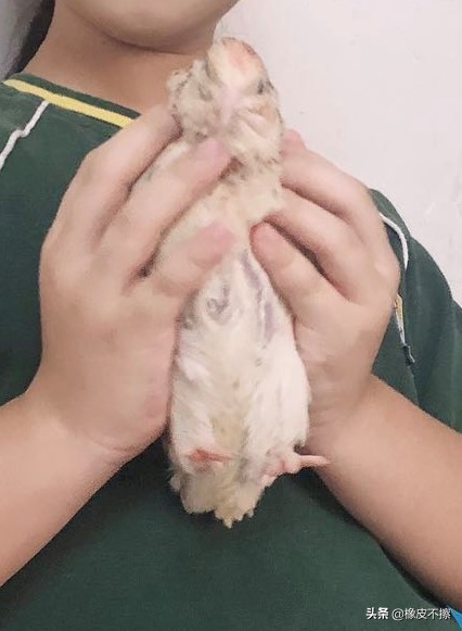 生而为妈，一个小学生的生日蛋糕能有多尬