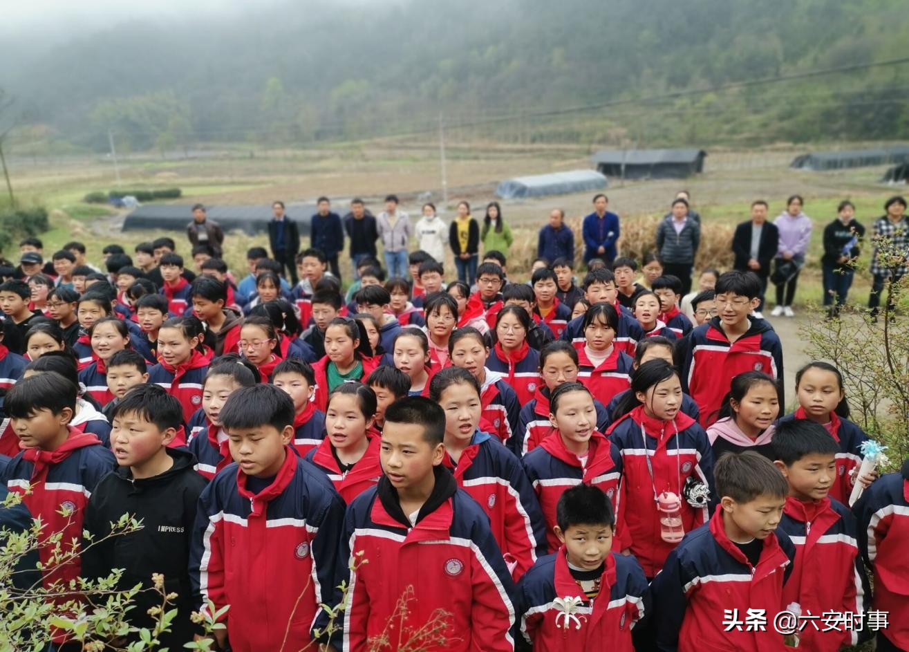 学校清明节祭扫先烈主题活动方案,学校开展清明节缅怀先烈扫墓活动