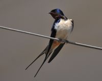 “争”来的一亩地,“让”出的一片天