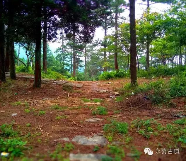 温州四海尖上观日出，初阳如血，美轮美奂，绝无仅有