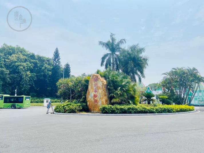 霍东英家族南沙项目,霍氏家族南沙往事